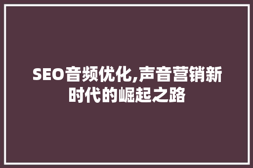 SEO音频优化,声音营销新时代的崛起之路