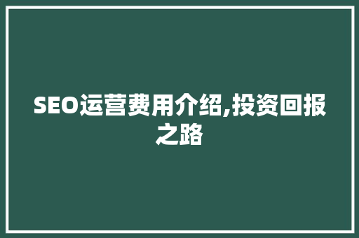 SEO运营费用介绍,投资回报之路