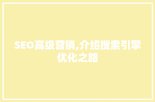SEO高级营销,介绍搜索引擎优化之路