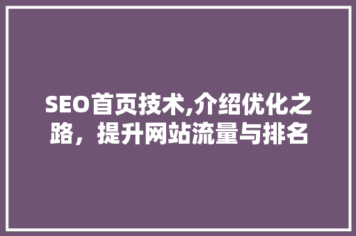 SEO首页技术,介绍优化之路，提升网站流量与排名