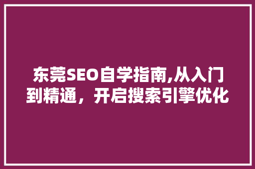 东莞SEO自学指南,从入门到精通，开启搜索引擎优化之旅