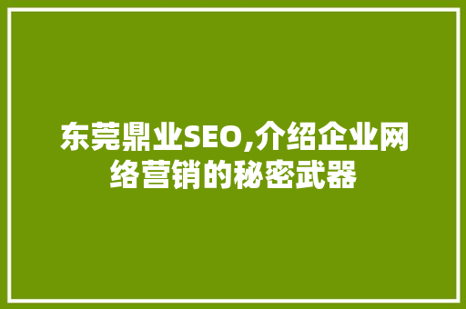 东莞鼎业SEO,介绍企业网络营销的秘密武器