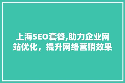 上海SEO套餐,助力企业网站优化，提升网络营销效果