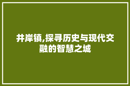 井岸镇,探寻历史与现代交融的智慧之城