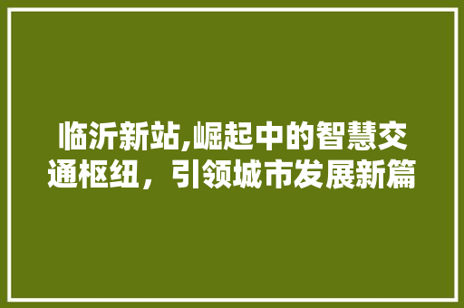 临沂新站,崛起中的智慧交通枢纽，引领城市发展新篇章