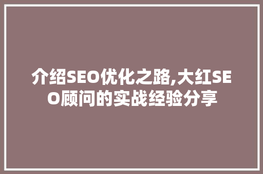 介绍SEO优化之路,大红SEO顾问的实战经验分享
