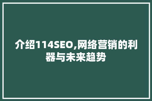介绍114SEO,网络营销的利器与未来趋势