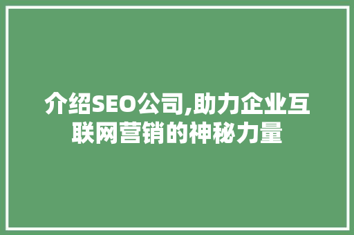 介绍SEO公司,助力企业互联网营销的神秘力量