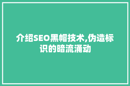 介绍SEO黑帽技术,伪造标识的暗流涌动