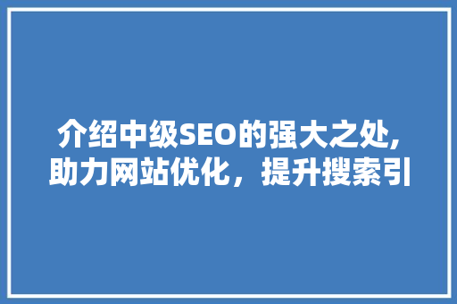 介绍中级SEO的强大之处,助力网站优化，提升搜索引擎排名