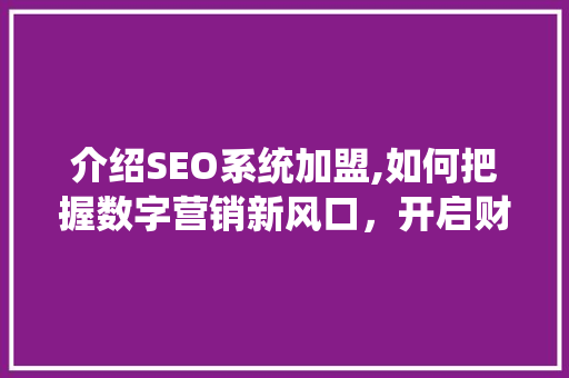介绍SEO系统加盟,如何把握数字营销新风口，开启财富之门