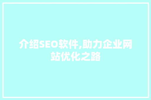 介绍SEO软件,助力企业网站优化之路