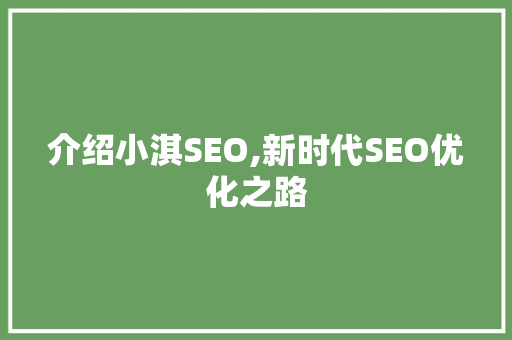介绍小淇SEO,新时代SEO优化之路