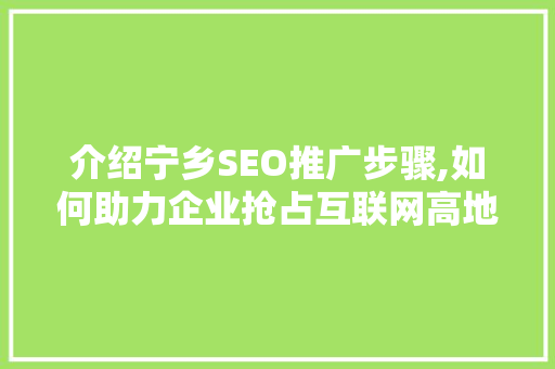 介绍宁乡SEO推广步骤,如何助力企业抢占互联网高地
