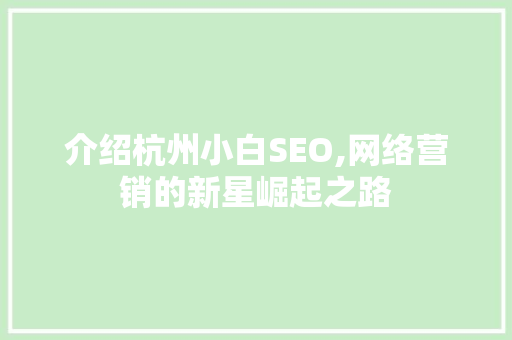 介绍杭州小白SEO,网络营销的新星崛起之路