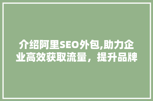 介绍阿里SEO外包,助力企业高效获取流量，提升品牌影响力