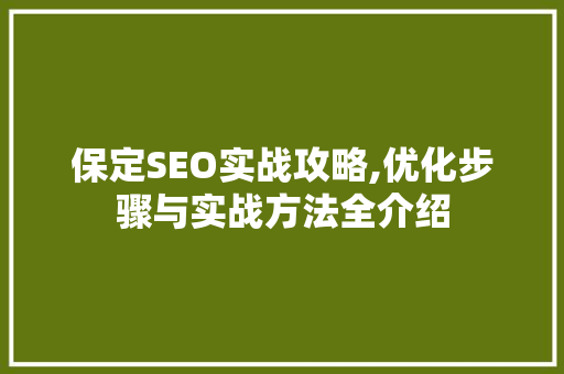 保定SEO实战攻略,优化步骤与实战方法全介绍