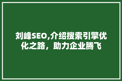 刘峰SEO,介绍搜索引擎优化之路，助力企业腾飞