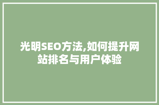 光明SEO方法,如何提升网站排名与用户体验