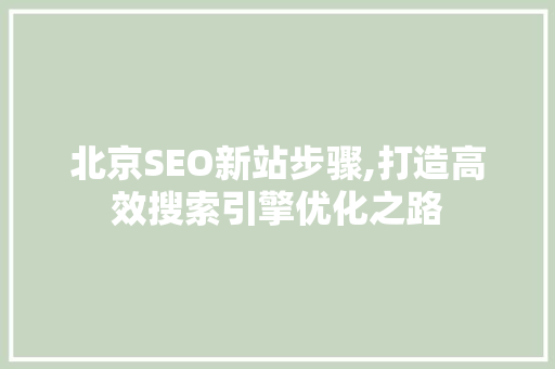 北京SEO新站步骤,打造高效搜索引擎优化之路