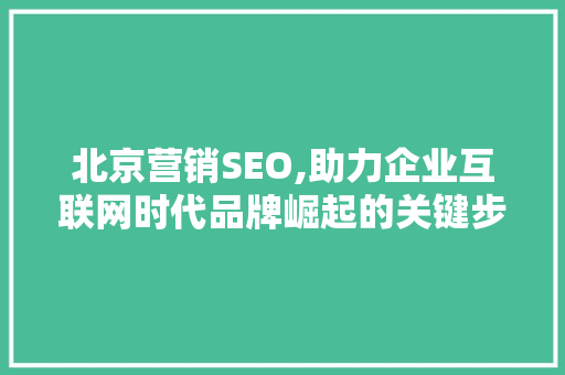 北京营销SEO,助力企业互联网时代品牌崛起的关键步骤