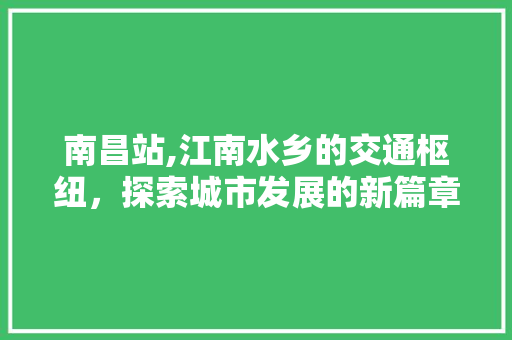 南昌站,江南水乡的交通枢纽，探索城市发展的新篇章