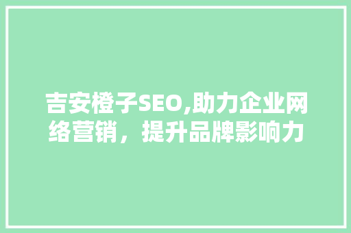 吉安橙子SEO,助力企业网络营销，提升品牌影响力