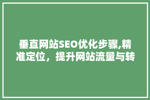 垂直网站SEO优化步骤,精准定位，提升网站流量与转化率