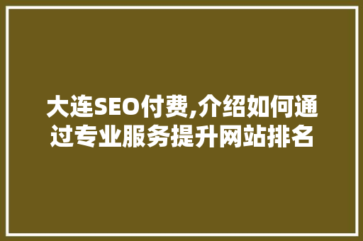 大连SEO付费,介绍如何通过专业服务提升网站排名