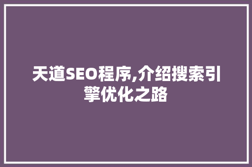 天道SEO程序,介绍搜索引擎优化之路