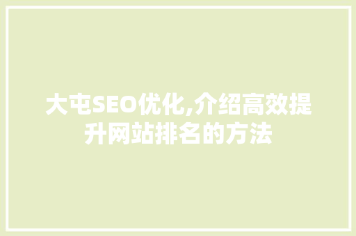 大屯SEO优化,介绍高效提升网站排名的方法