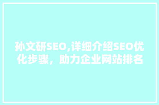孙文研SEO,详细介绍SEO优化步骤，助力企业网站排名提升