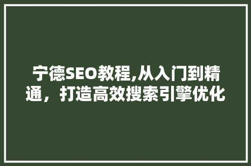 宁德SEO教程,从入门到精通，打造高效搜索引擎优化步骤