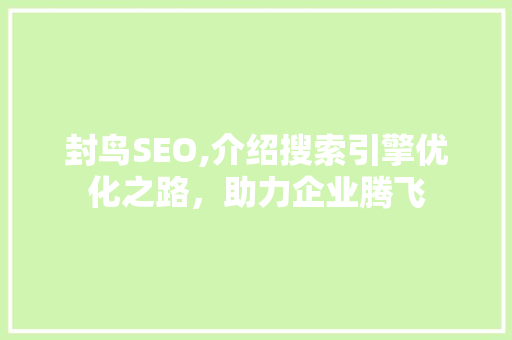 封鸟SEO,介绍搜索引擎优化之路，助力企业腾飞
