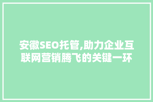 安徽SEO托管,助力企业互联网营销腾飞的关键一环