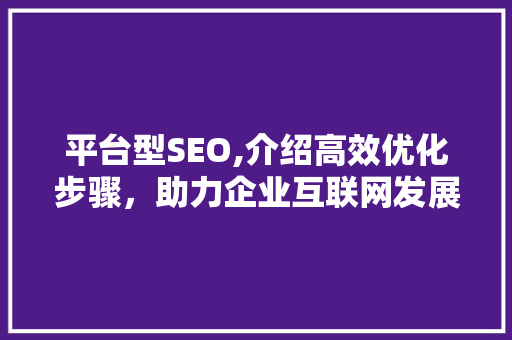 平台型SEO,介绍高效优化步骤，助力企业互联网发展