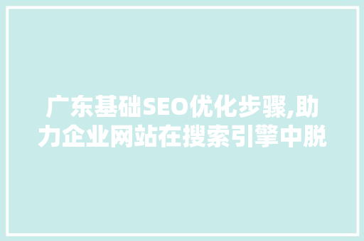 广东基础SEO优化步骤,助力企业网站在搜索引擎中脱颖而出