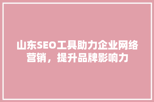 山东SEO工具助力企业网络营销，提升品牌影响力
