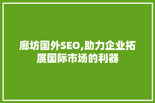 廊坊国外SEO,助力企业拓展国际市场的利器