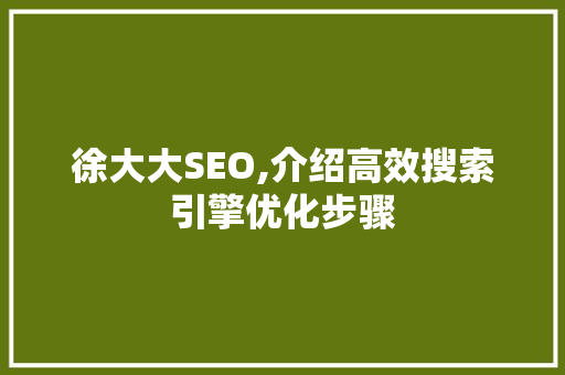 徐大大SEO,介绍高效搜索引擎优化步骤