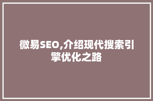 微易SEO,介绍现代搜索引擎优化之路