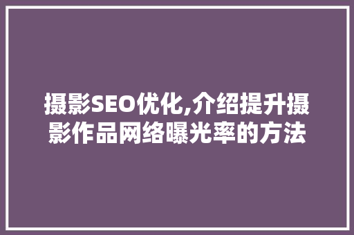 摄影SEO优化,介绍提升摄影作品网络曝光率的方法