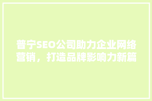 普宁SEO公司助力企业网络营销，打造品牌影响力新篇章
