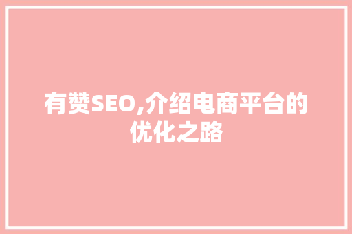 有赞SEO,介绍电商平台的优化之路