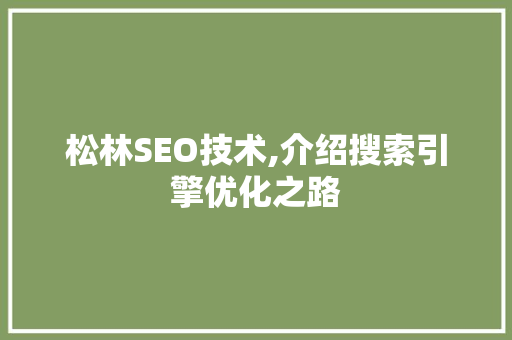 松林SEO技术,介绍搜索引擎优化之路