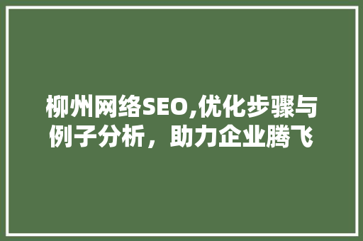 柳州网络SEO,优化步骤与例子分析，助力企业腾飞