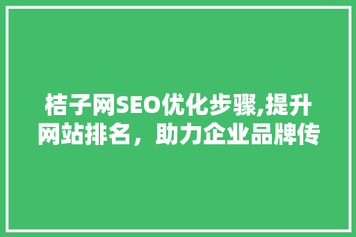 桔子网SEO优化步骤,提升网站排名，助力企业品牌传播