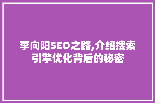 李向阳SEO之路,介绍搜索引擎优化背后的秘密
