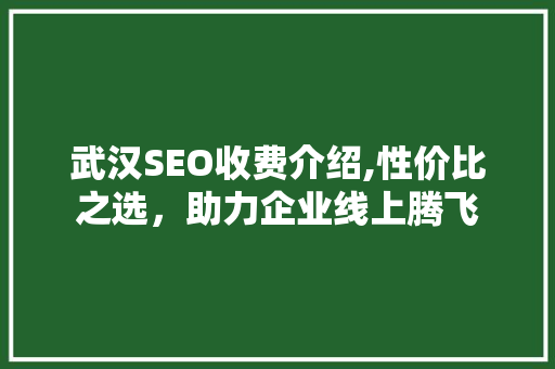 武汉SEO收费介绍,性价比之选，助力企业线上腾飞