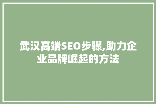 武汉高端SEO步骤,助力企业品牌崛起的方法
